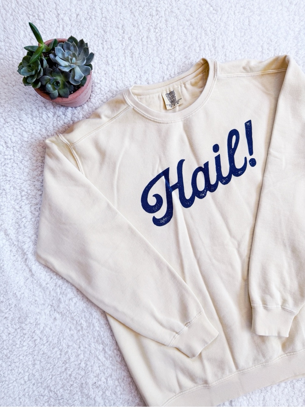 Michigan Hail sweatshirt